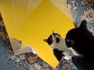 a cat on the floor reflected in a pile of plastic mirrors