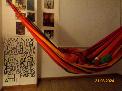 room-hammock.jpg