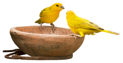 two small yellow birds perched on a bowl